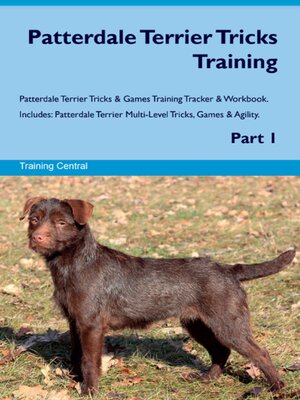 cover image of Patterdale Terrier Tricks Training Patterdale Terrier Tricks & Games Training Tracker &  Workbook.  Includes